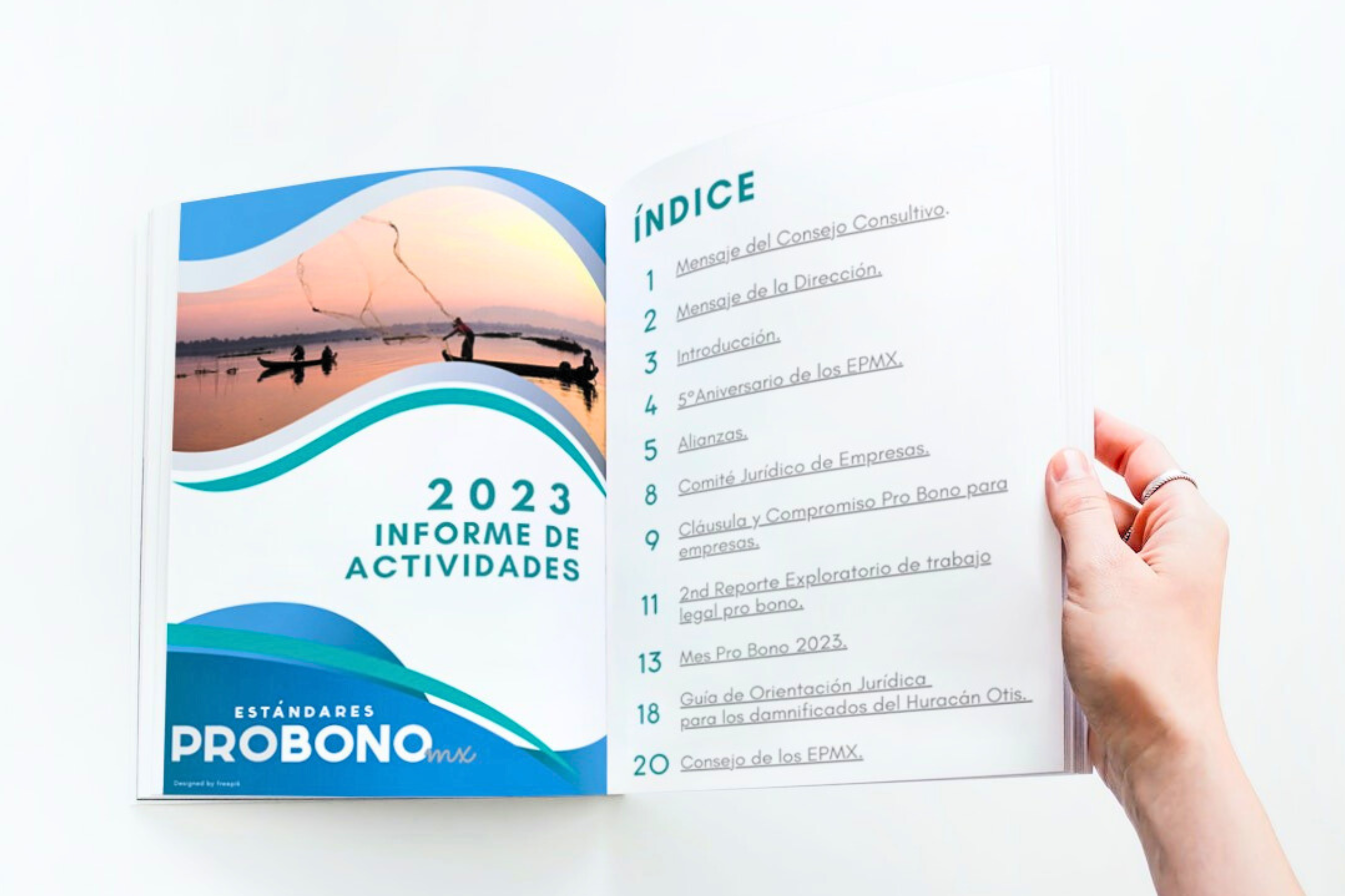 Informe de Actividades 2023 de los Estándares Pro Bono México