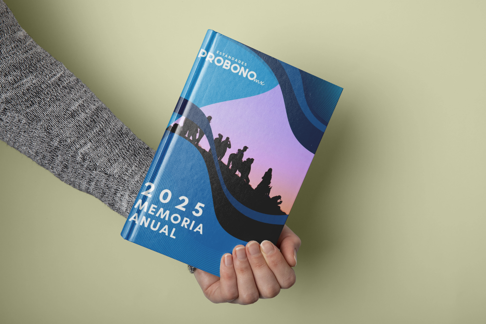 Informe de Actividades 2025 de los Estándares Pro Bono México